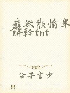 瘾欲欢愉半块小饼干tnt