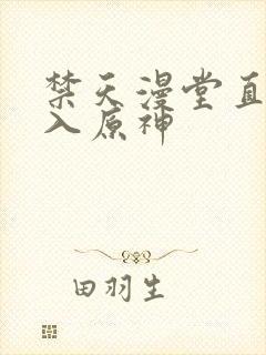 禁天漫堂直接进入原神