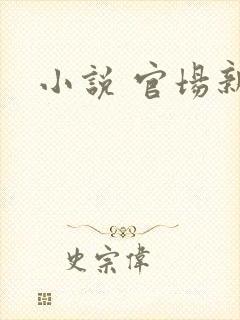 小说 官场新贵封面