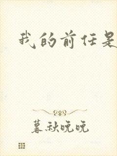 我的前任是极品