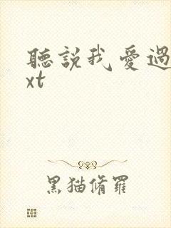 听说我爱过你txt