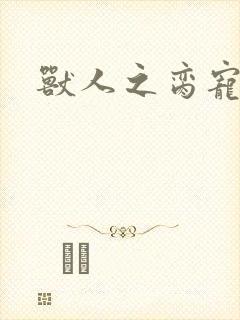 兽人之脔宠封面