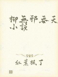 柳无邪吞天神鼎小说