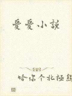 爱爱小说