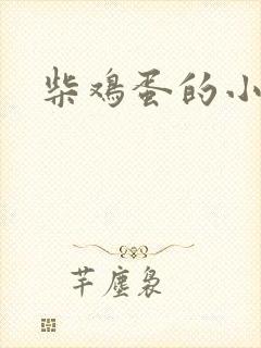 柴鸡蛋的小说