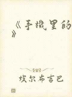 《手机里的秘密》封面