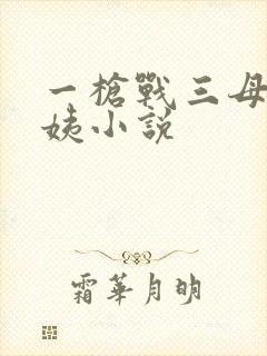 一枪战三母2雪姨小说