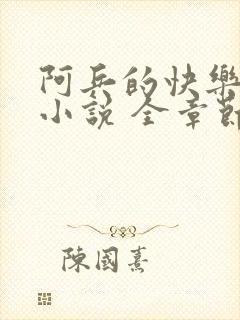 阿兵的快乐生活小说 全章节阅读免费