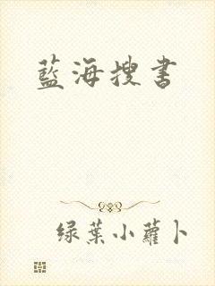 蓝海搜书封面