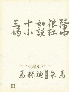 三十如狼陪读妈妈小说杜雨馨封面