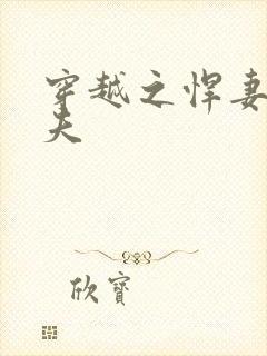 穿越之悍妻共三夫