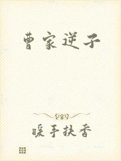 曹家逆子