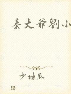 秦大爷刘小静封面