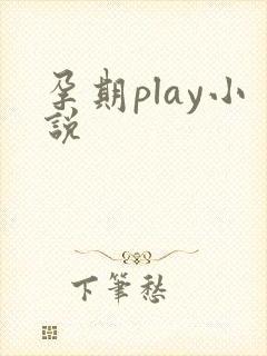 孕期play小说封面