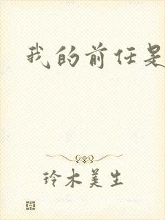 我的前任是极品