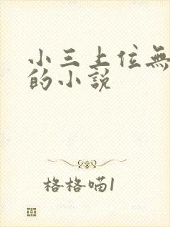 小三上位无三观的小说封面