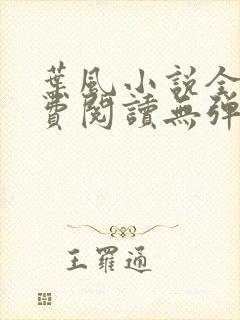 叶风小说全文免费阅读无弹窗最新章节