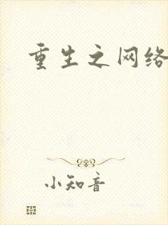 重生之网络大亨