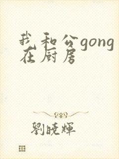 我和公gong在厨房