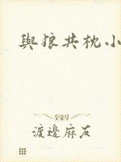 与狼共枕小说封面