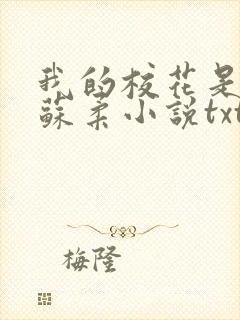 我的校花是福姬苏柔小说txt