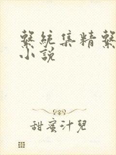 系统集精系统 小说