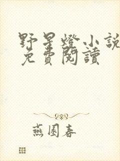 野星灯小说全文免费阅读