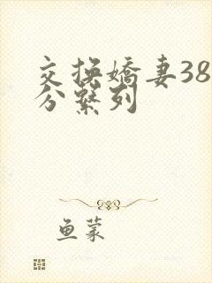 交换娇妻38部分系列