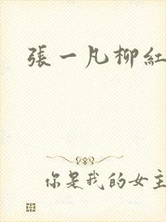 张一凡柳红封面