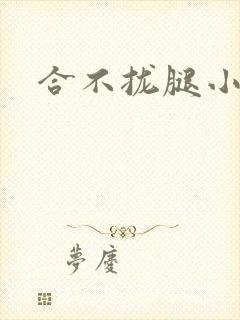 合不拢腿小说