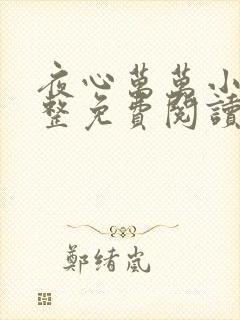 夜心万万小说完整免费阅读全文