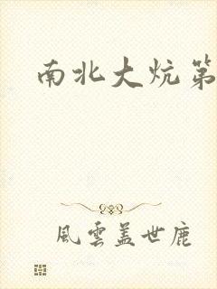 南北大炕第一部