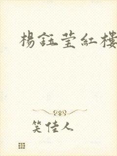 杨钰莹红楼封面