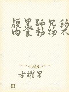 腹黑师兄的日常肉食动物不食草