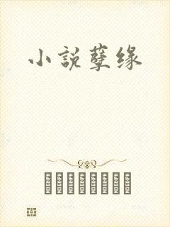 小说孽缘