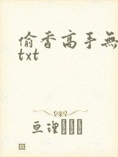 偷香高手无删减txt