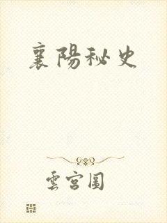 襄阳秘史