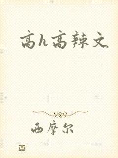 高h高辣文封面