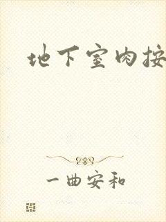 地下室肉按摩椅