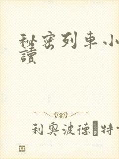 秘密列车小说阅读