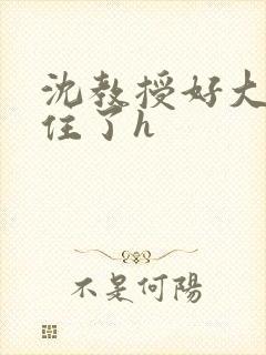 沈教授好大含不住了h