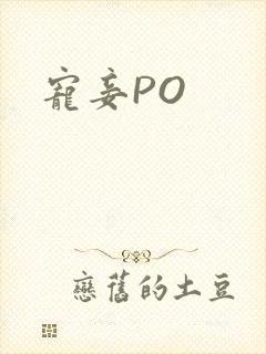 宠妾PO