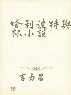 哈利波特与火焰杯小说