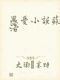 愚爱小说苏倩孙浩