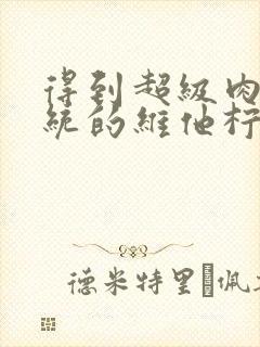 得到超级肉禽系统的维他柠檬茶