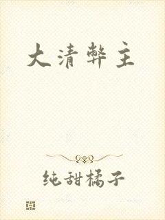 大清弊主