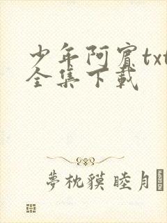 少年阿宾txt全集下载