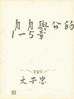 月月与公的激情1一5章