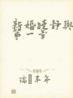 新婚晓静与翁公笫一章封面