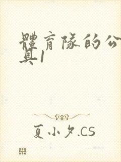 体育队的公用玩具1